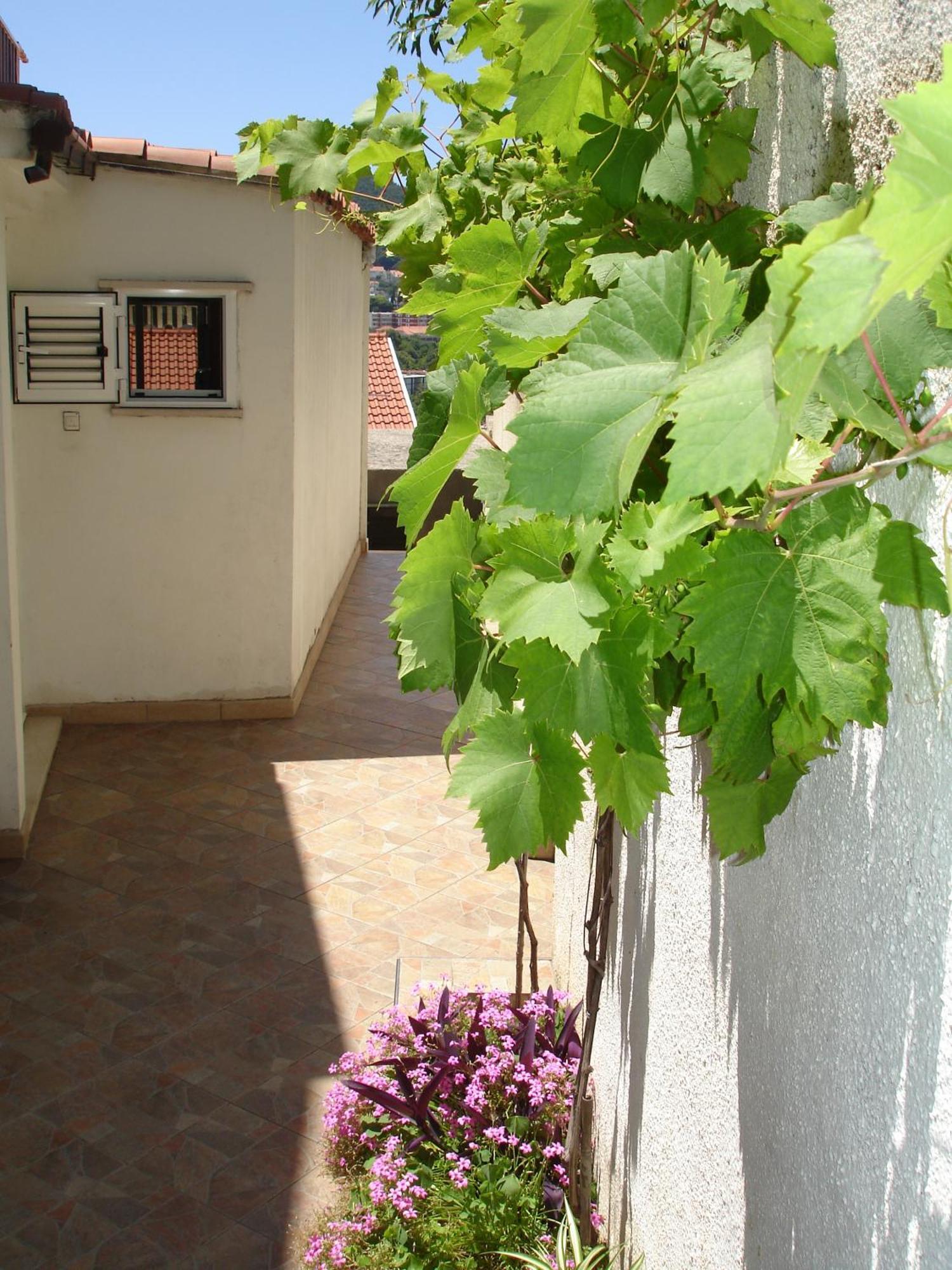 Rooms Andrijana Dubrovnik Exterior foto